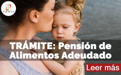 Obtener el Pago de Pensión de Alimentos Adeudados